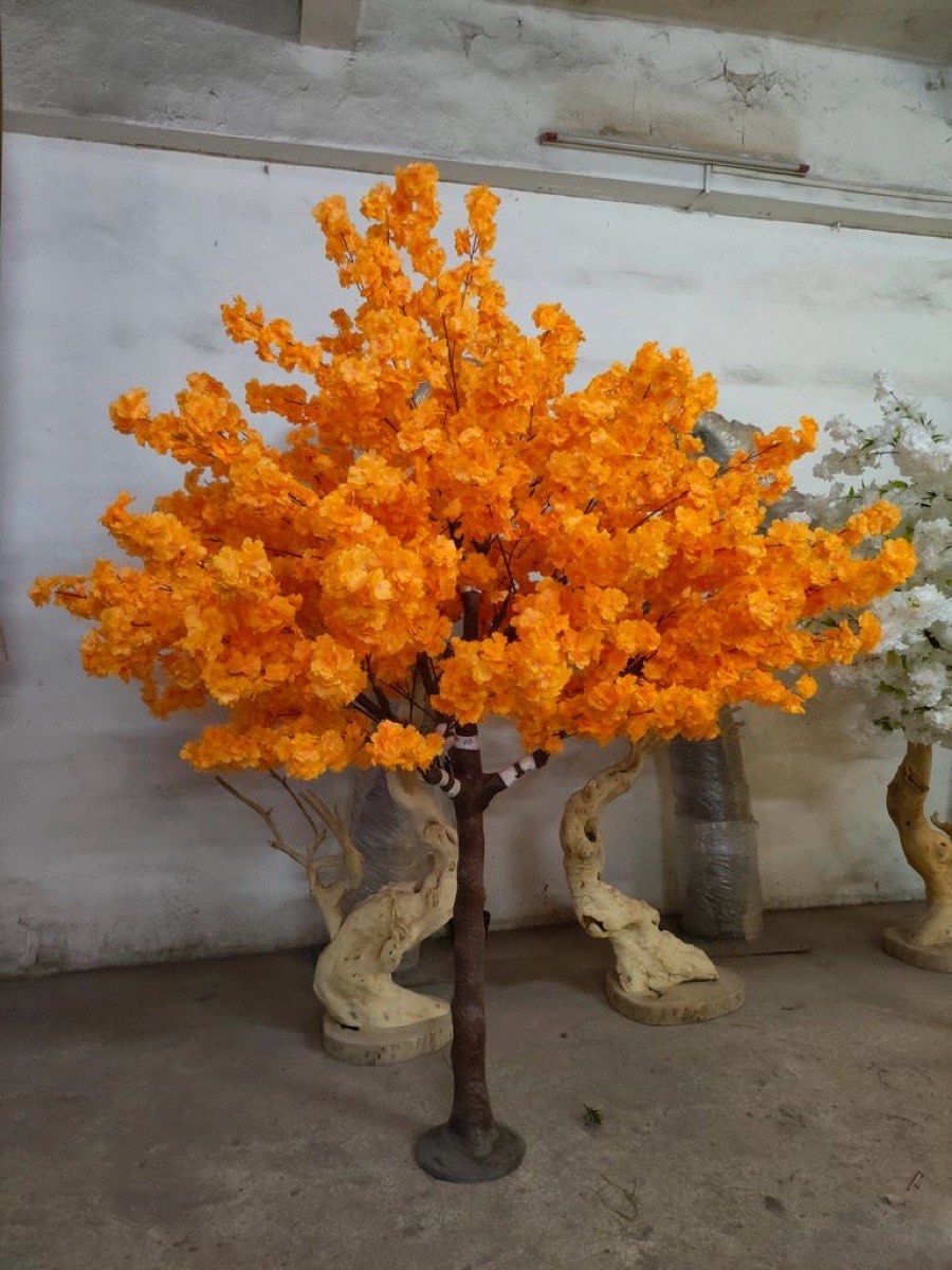 Orange Blossom Tree