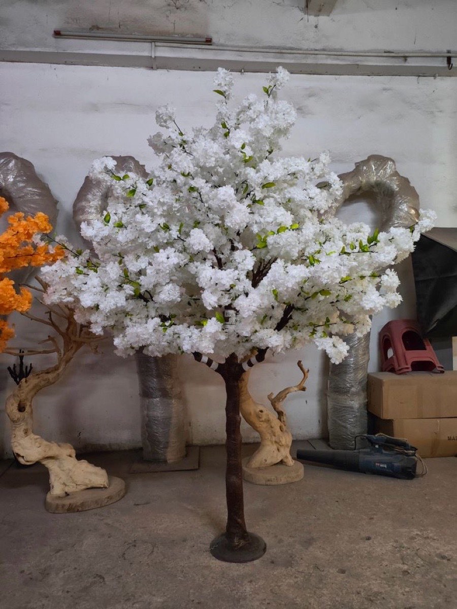White Blossom Tree