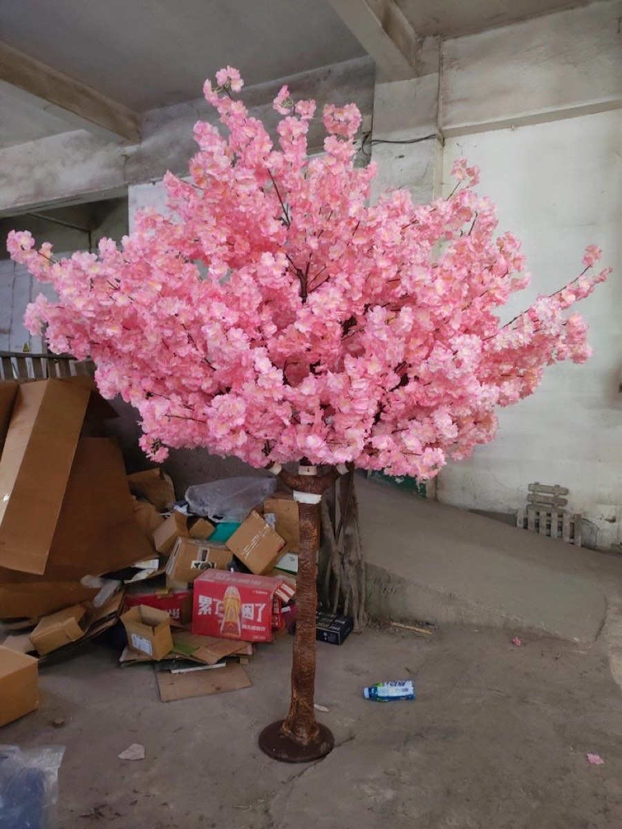 Pink Blossom Tree
