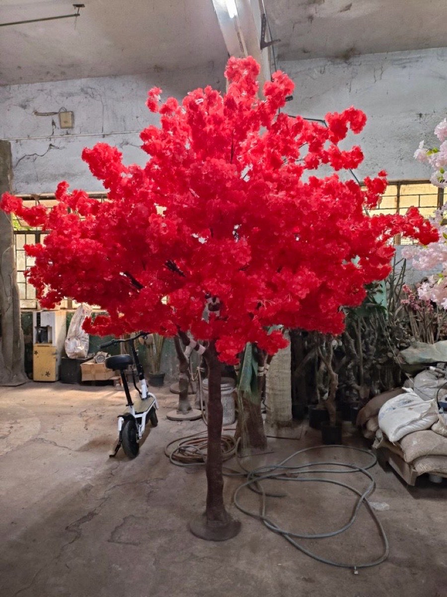 Red Blossom Tree