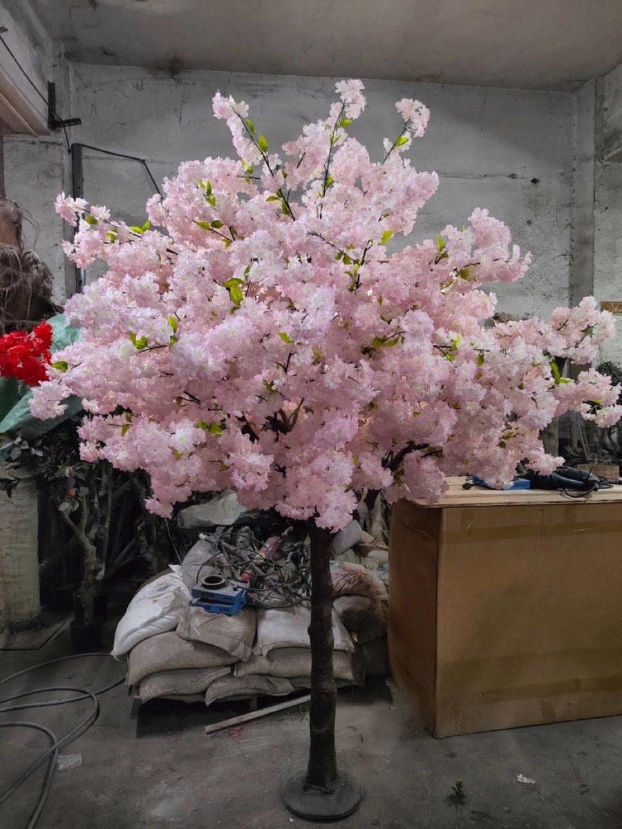 Light Pink Blossom Tree