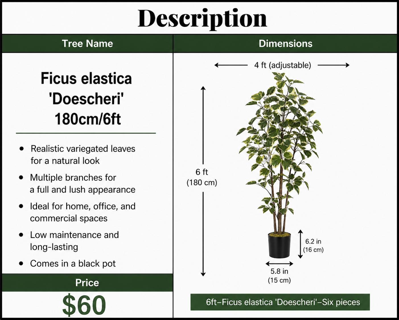 Artificial Ficus Elastica 'Doescheri'